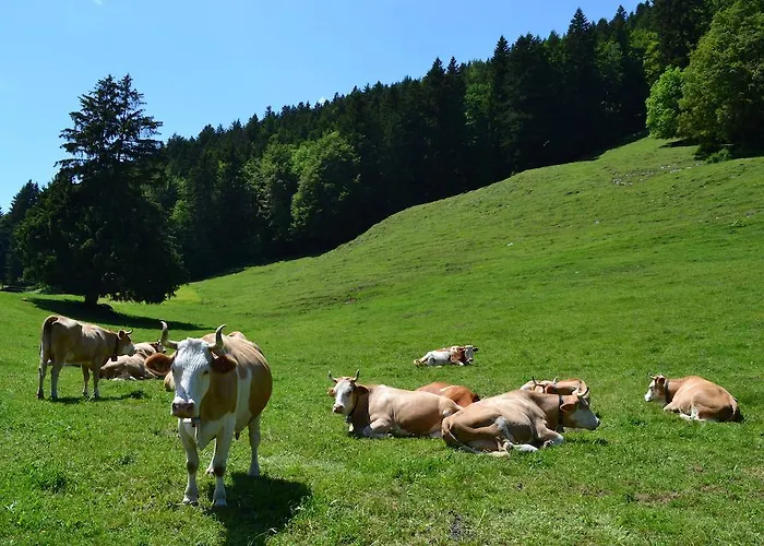 Frühstückspension Chalet Rosaly *