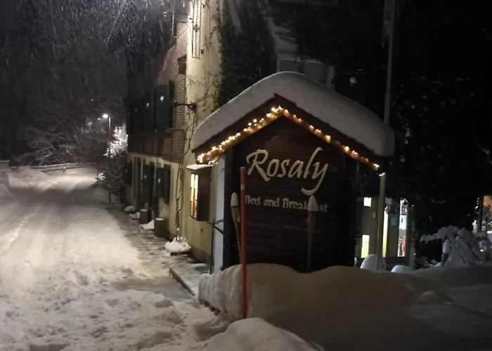 Rosaly Oda ve Kahvaltı Chateau-d'Oex