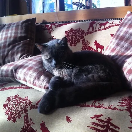 Rosaly Chateau-d'Oex