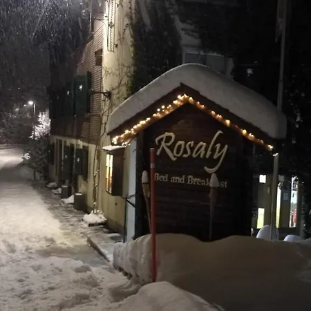 Rosaly 住宿加早餐酒店 代堡